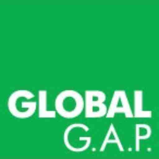 gap logo